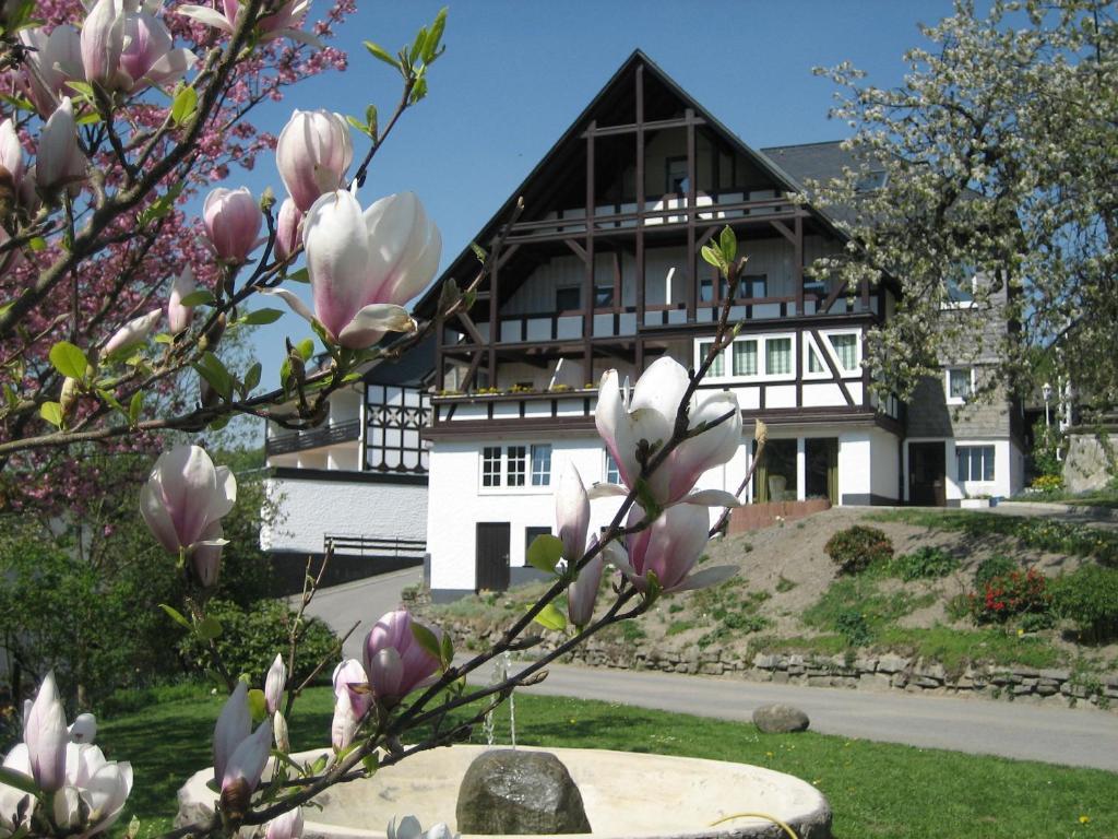 Ferienwohnungen Otto Schmallenberg Exterior foto